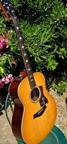 Taylor 818e USA made Grand Orchestra