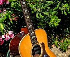 Taylor 818e USA made Grand Orchestra