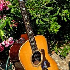 Taylor 818e USA made Grand Orchestra