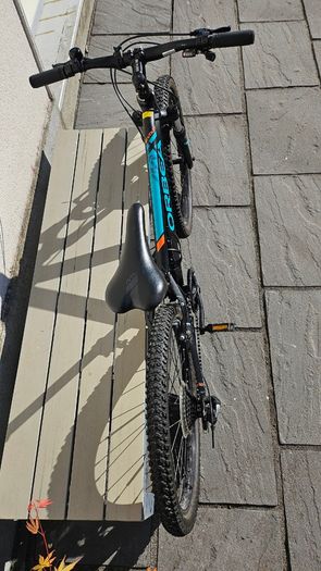 Orbea MX 24" junior bike