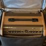 Fishman Loudbox Mini Charge + Carry Bag Image 6