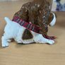 Little Paws Holly The Springer Spaniel Figurine Arora Dog - New in Box Image 3