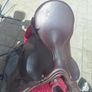 Berneys saddle Image 2