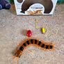 Moving toy Sentipede (Scolopendra Gigantea) (G01) Image 5