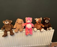Build a Bear and accessories