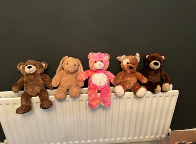 Build a Bear and accessories