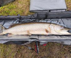 Abu beast pike mat