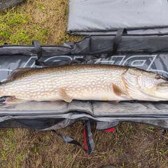 Abu beast pike mat