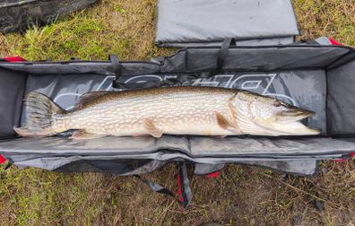 Abu beast pike mat