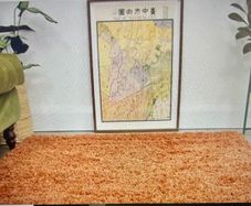 Soft Everyday Terracotta Shaggy Rug