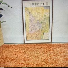 Soft Everyday Terracotta Shaggy Rug