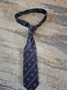 BCS tie