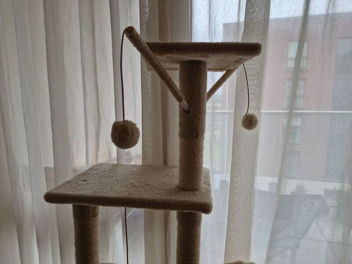 cat tree