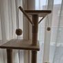 cat tree Image 2