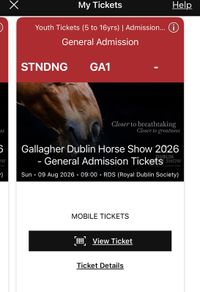 Dublin horse show tickets for today