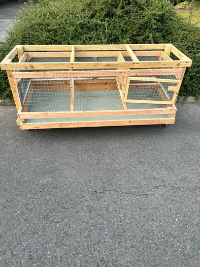 quail/chick cage