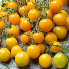 (T) Tomato Goldkrone seeds 0.2g (110612)