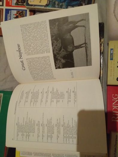 Horse / Equestrian Books
