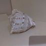 Sea Shell Image 4