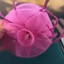 Fascinator Image 3
