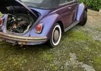 Vw beetle