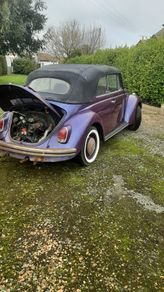 Vw beetle