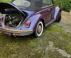 Vw beetle
