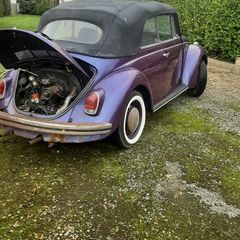 Vw beetle