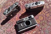 Canon 7