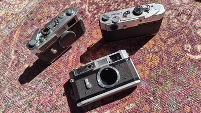 Canon 7