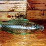 vintage fish shape bottle Image 6
