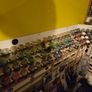 Warhammer hobbyzone paint racks Image 4