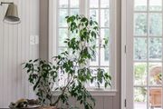 12mm MDF Wood Wall Panel Safari Grey 280x11.5cm