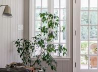 main image for ad 12mm MDF Wood Wall Panel Safari Grey 280x11.5cm