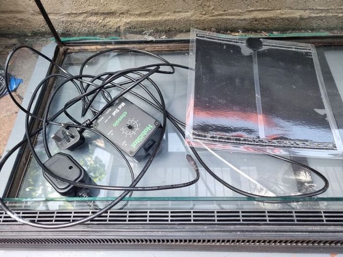 Terrarium