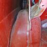 Mk1 Escort Image 9