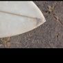 surfboards Image 2