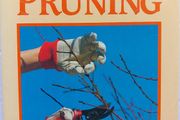 Pruning