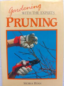 Pruning