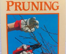 Pruning