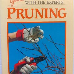 Pruning