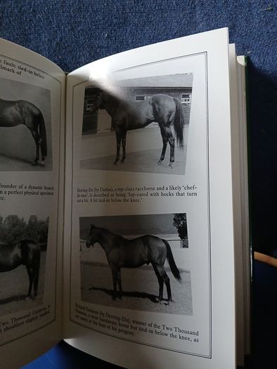 Thoroughbred Breeding - Mordaunt Milner
