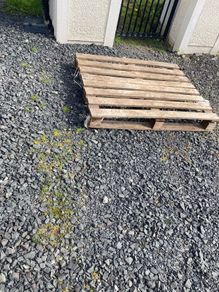 2 free wooden pallets