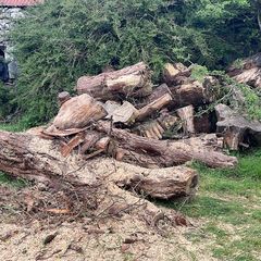 firewood