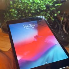 ipad mini 2
