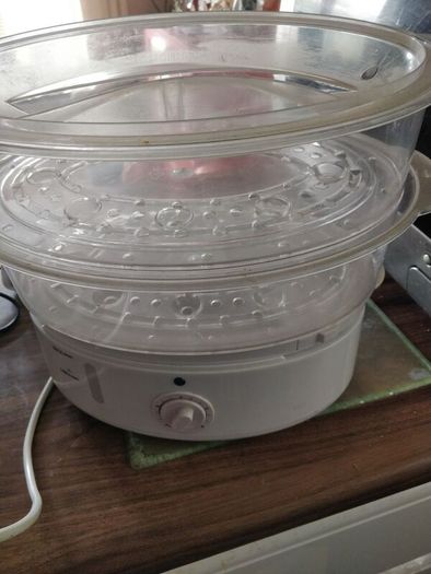 Electric steamer