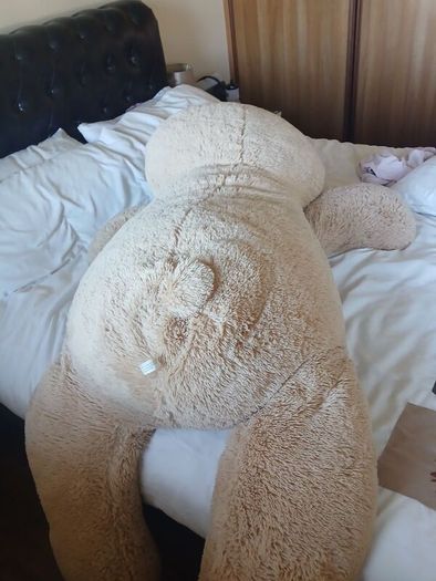 Billy Bear