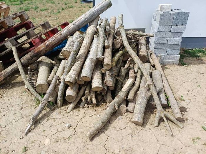 Logs