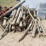 Logs Image 2
