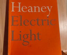 Electric Light by Seamus Heaney